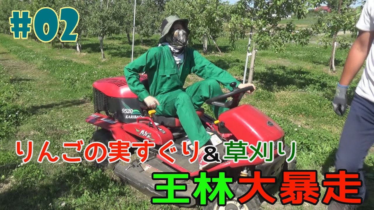 #2『RINGOMUSUMEの産地直送 日本最高!!』実すぐり＆草刈りそして王林大暴走