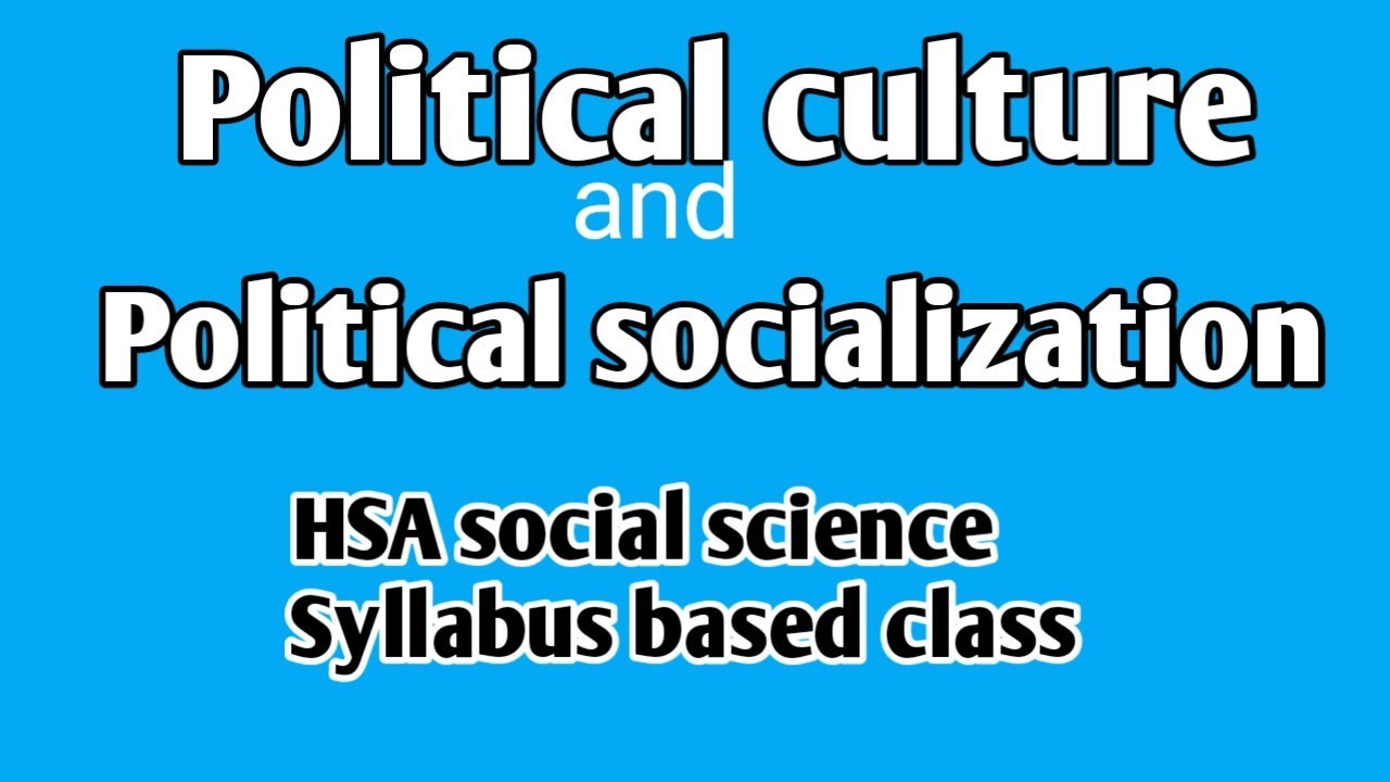 political science: political culture and political socialization