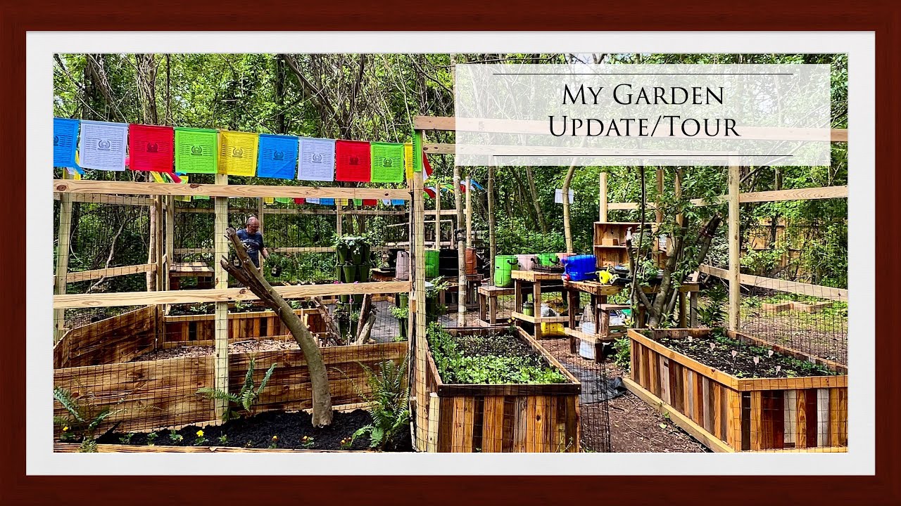 Cumberlachia Garden Update