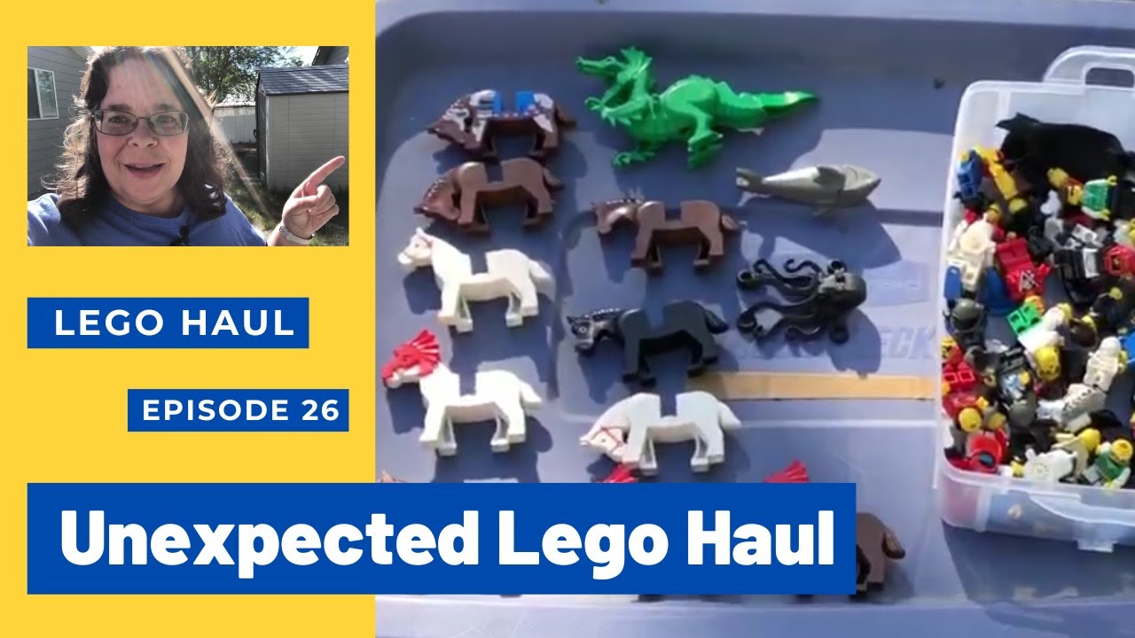 My Lego Haul - Ep 26 An Unexpected Lego Haul
