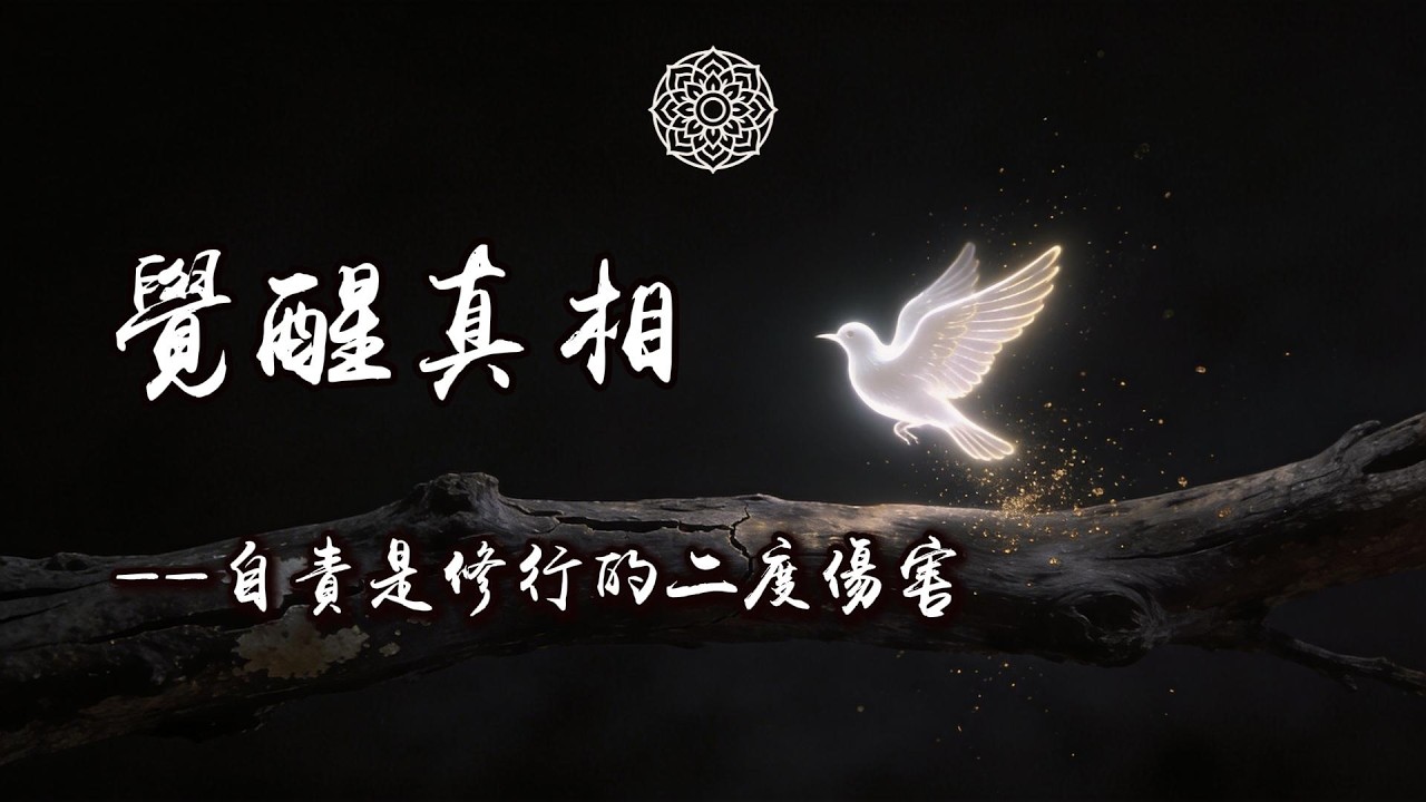 深度拆解：为什么我们总是跑远了才反应过来？（内含四步止损法）｜觉知领悟成长 #修行 #國學 #人生感悟 #治癒