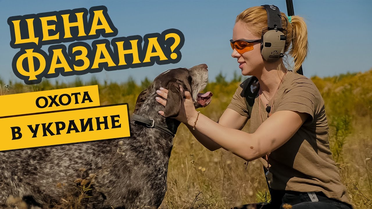 Сезон охоты на фазанов открыт: Татьяна Яшкина расскажет, как, где и с чем охотиться на фазана!