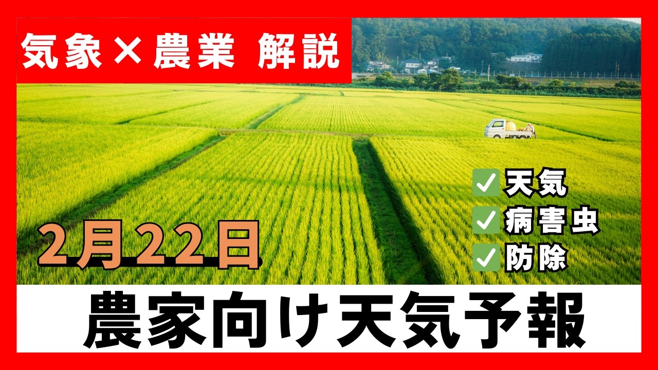 【2/22 気温上昇・来週は雨】今後の天気と農業への影響は？