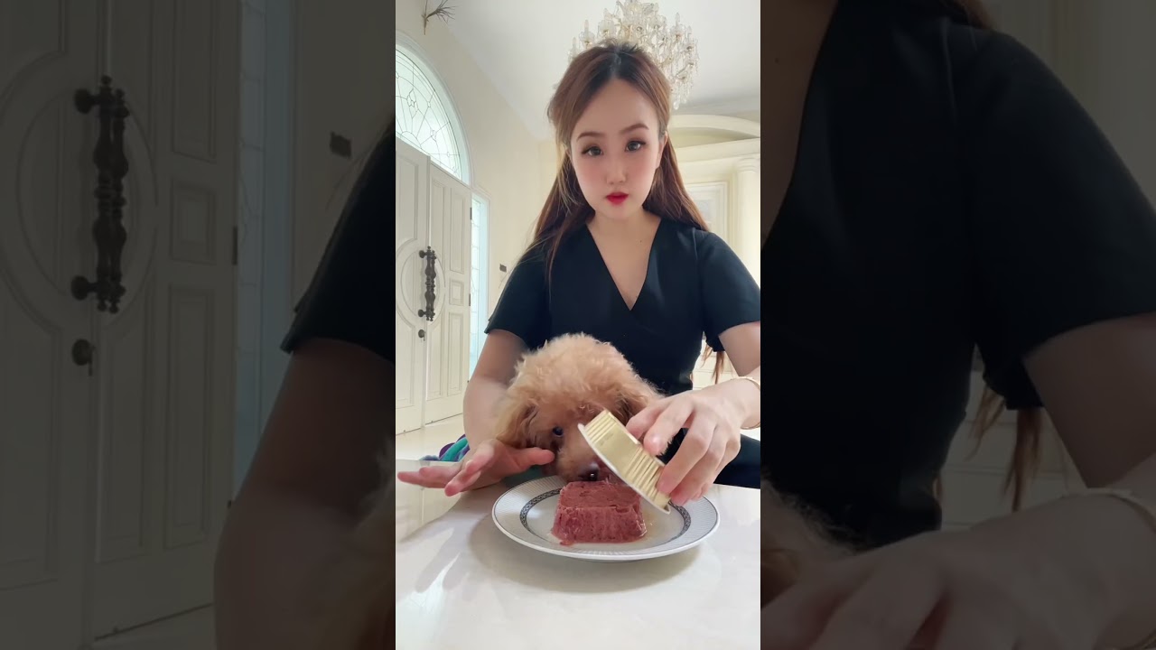 TES KEPEKAAN ANJING!!
