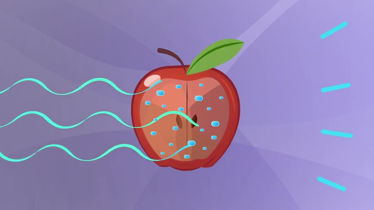 principles of x_ray  مبدأ عمل الأشعه بكل سهولة