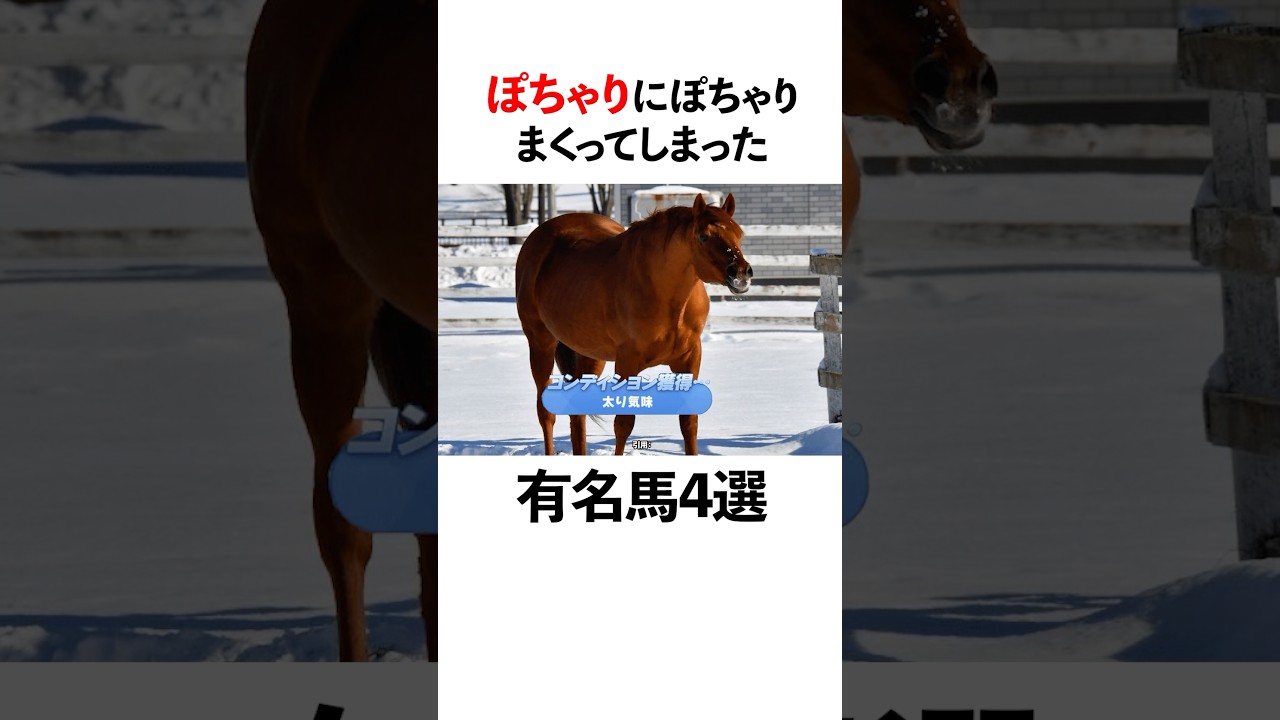 【衝撃】引退後に激変？！太りすぎた名馬たち