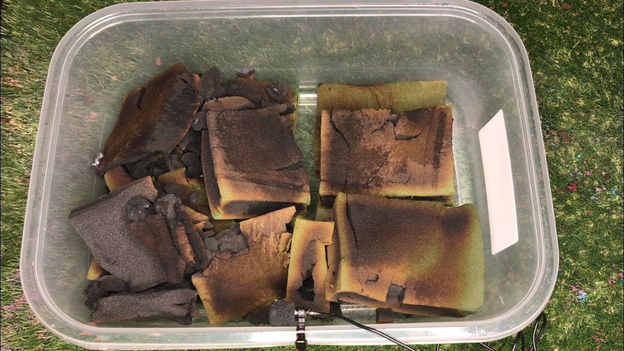 Extra Burnt Floral Foam Crushing 🔥