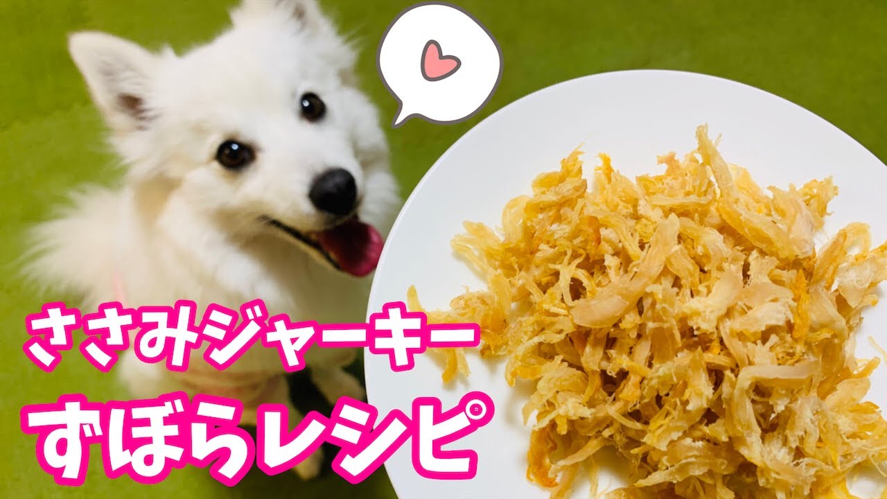 【犬の手作りおやつ】ささみジャーキーの簡単な作り方と嬉しそうに食べる日本スピッツちぃ。/ [Dog Treats Recipe] How to Make Chicken Breast Jerky