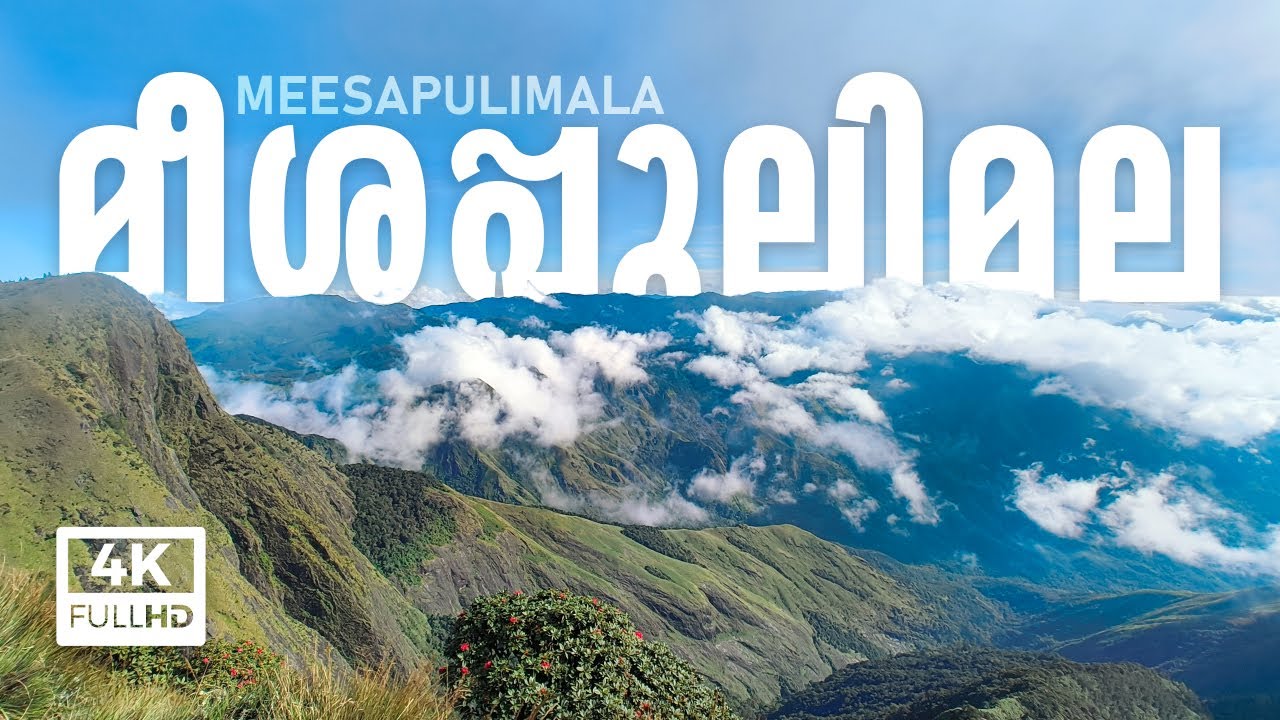 മീശപ്പുലിമല  |  Meesapulimala Trekking - Complete Travel Guide  | 4K