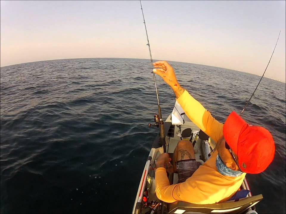 King Mack bite 8-12-12