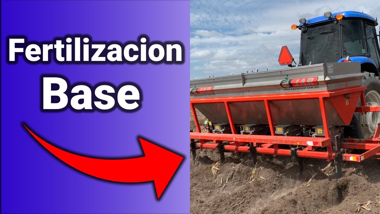 Fertilización Base de Garbanzo en Sinaloa