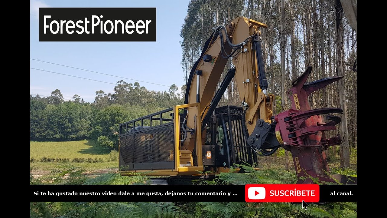 Excavadora 20-25 ton con QUADCO 20SC, tala y apilado de Eucalipto