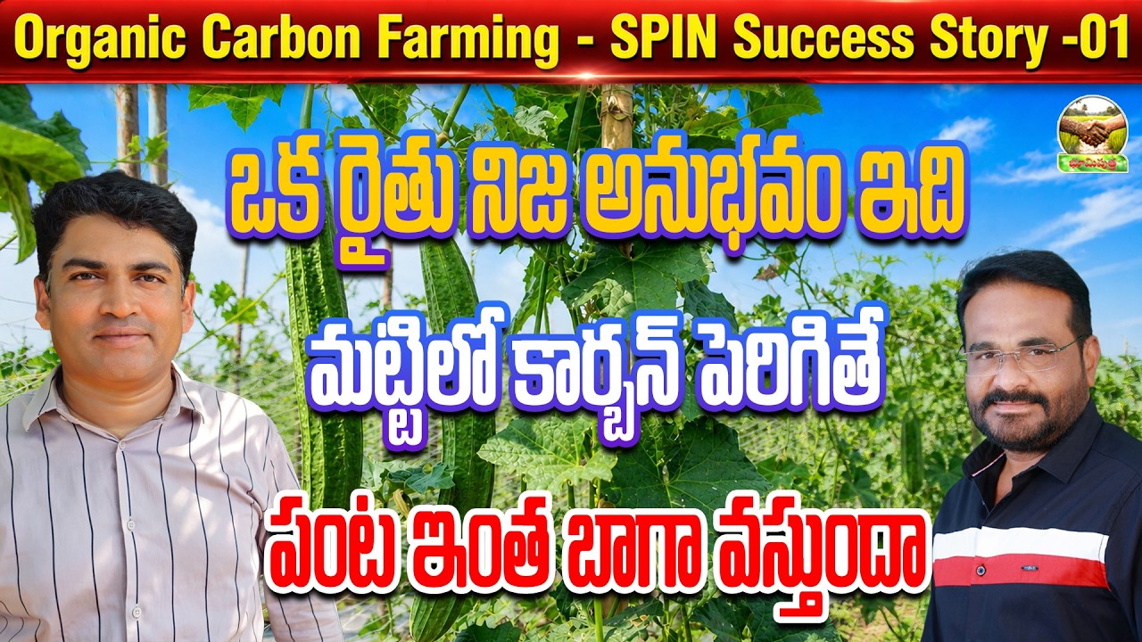 Organic Carbon Farming Method తో రైతు ఆదాయం రెట్టింపు Natural Farming Success | bhumiputhra telugu