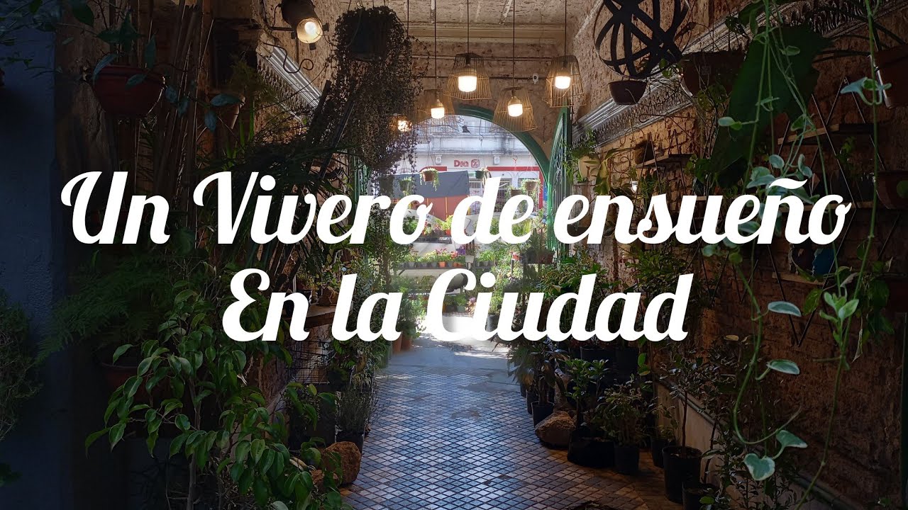 Vivero en Ciudad Decoración de Jardín #lasplantasdegeral #cactusysuculentas #jardin #decogarden