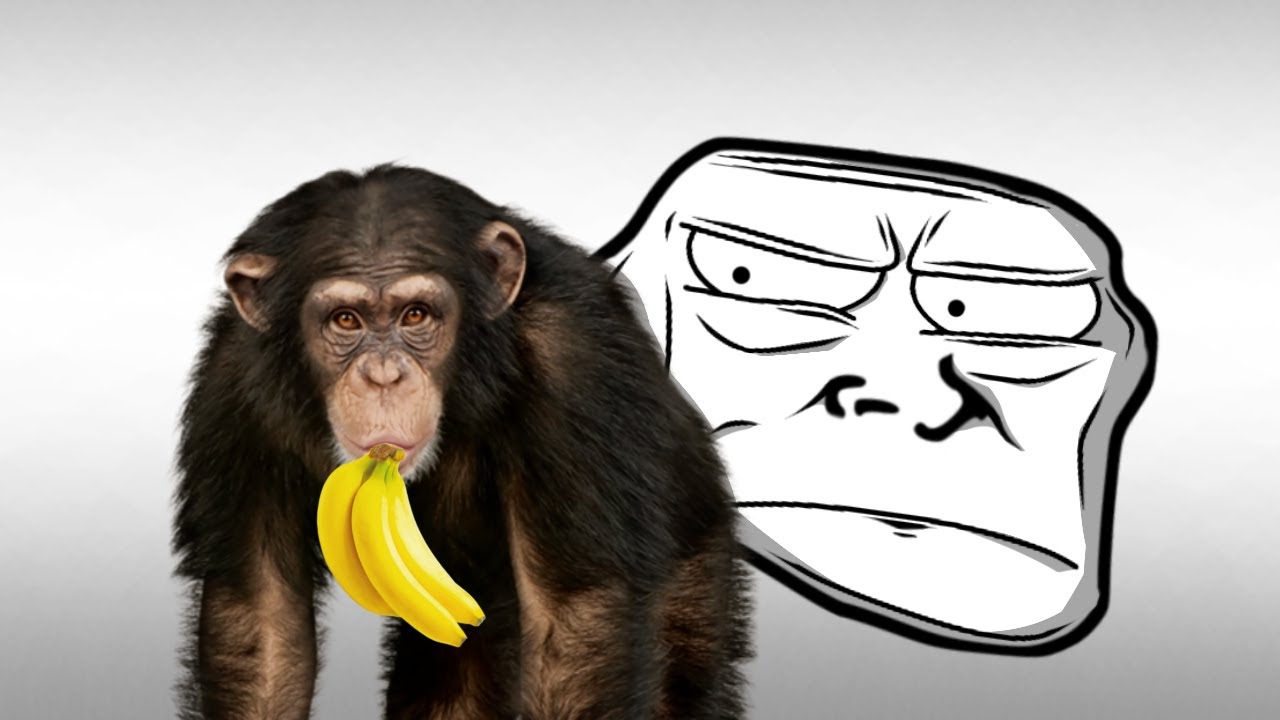 Trollge:the monkey incident