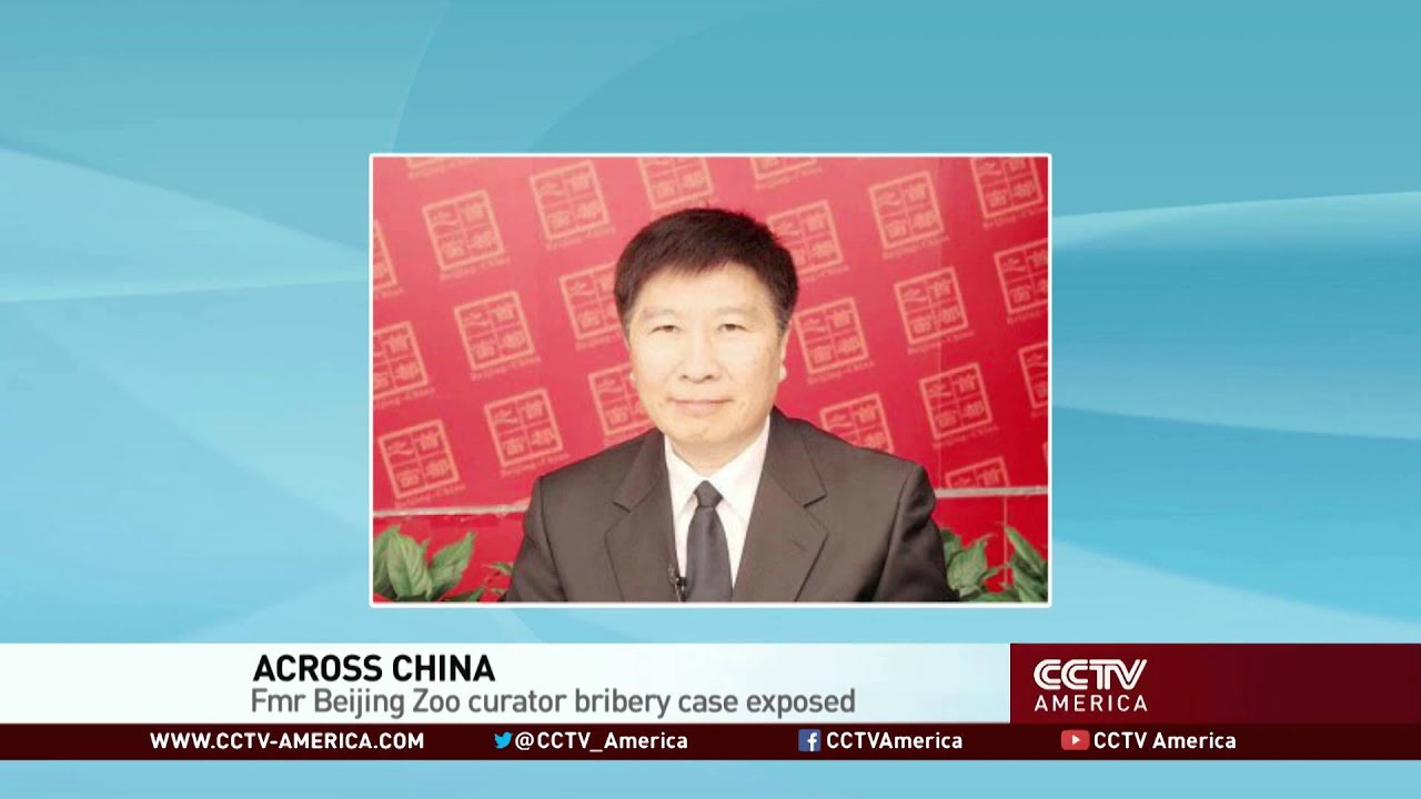 Chinese authorities crack down on corruption