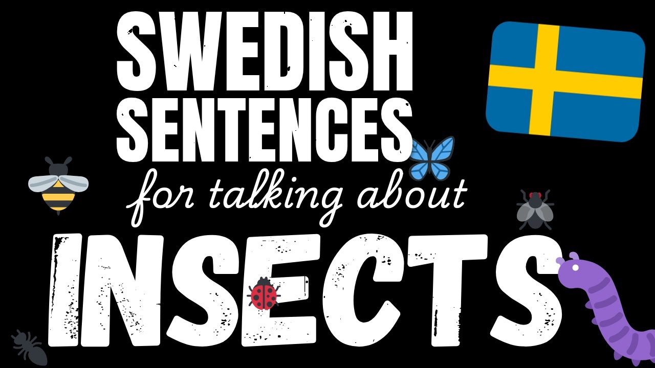 100 Easy Swedish sentences - Insects | Learn A1 Swedish vocabulary
