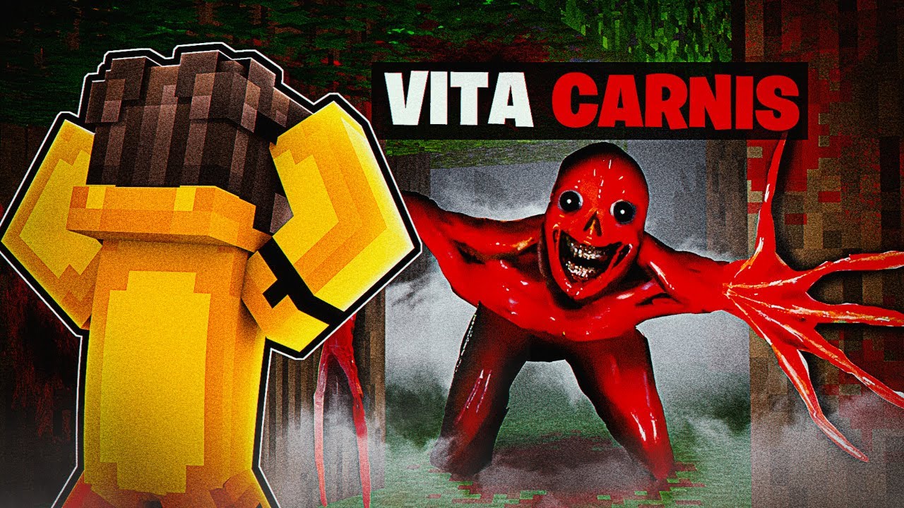 Ich Installiere VITA CARNIS in MINECRAFT...