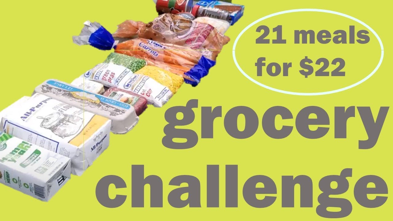 budget grocery challenge | ~$1 a meal |grocery outlet and dollar tree | 21 meals for $22