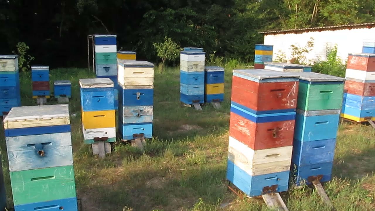 Принцип объединение семей напрямую днем, в летнее время до холодов.