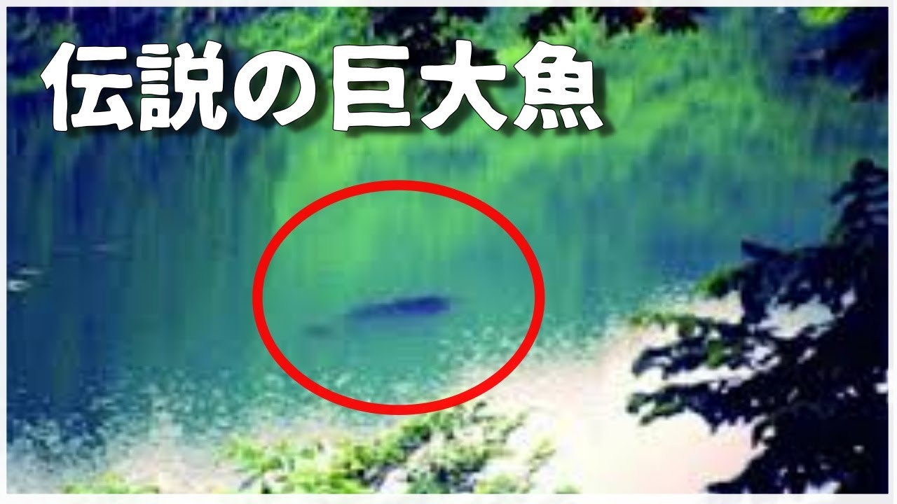 【ゆっくり解説】ナミタロウとタキタロウの謎