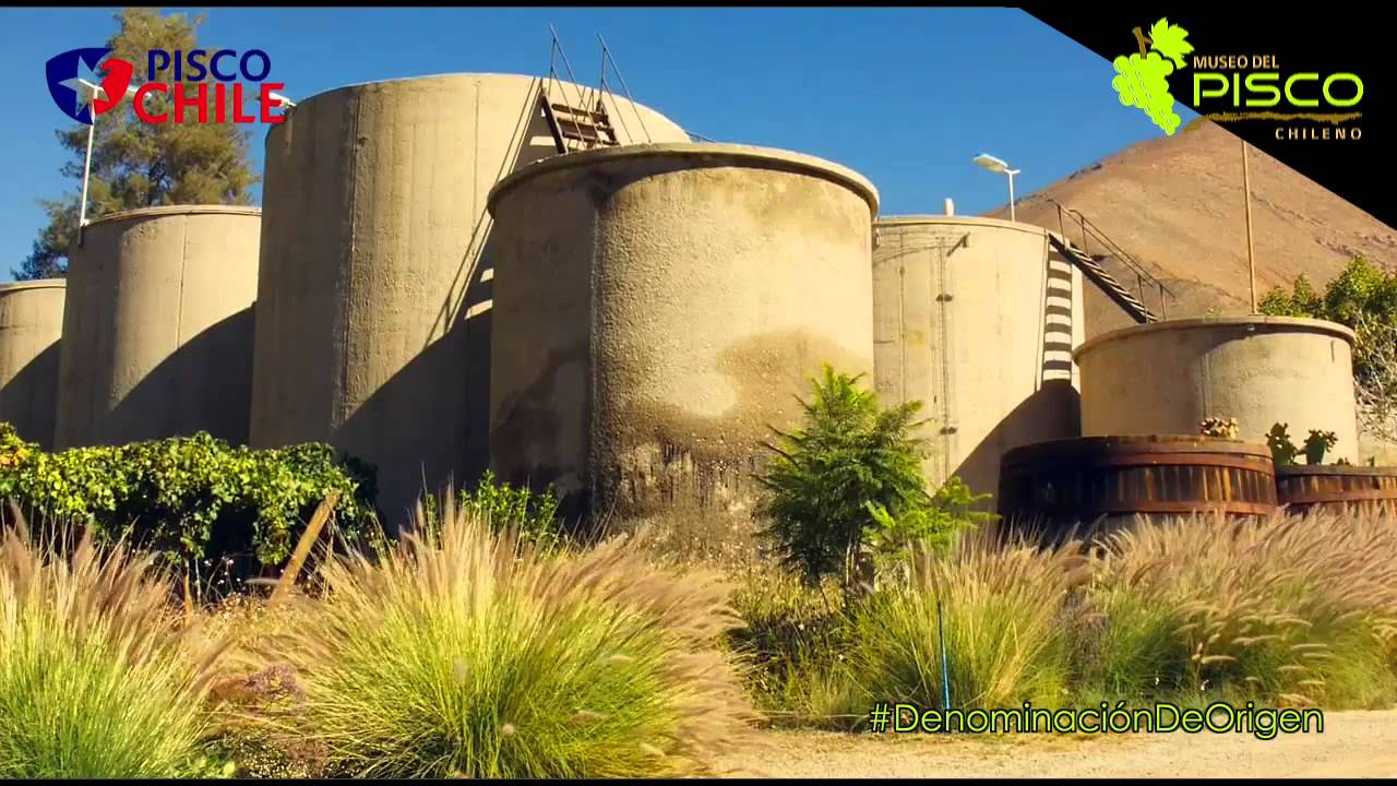 Pisco Chile - La Denominación de Origen mas Antigua de América