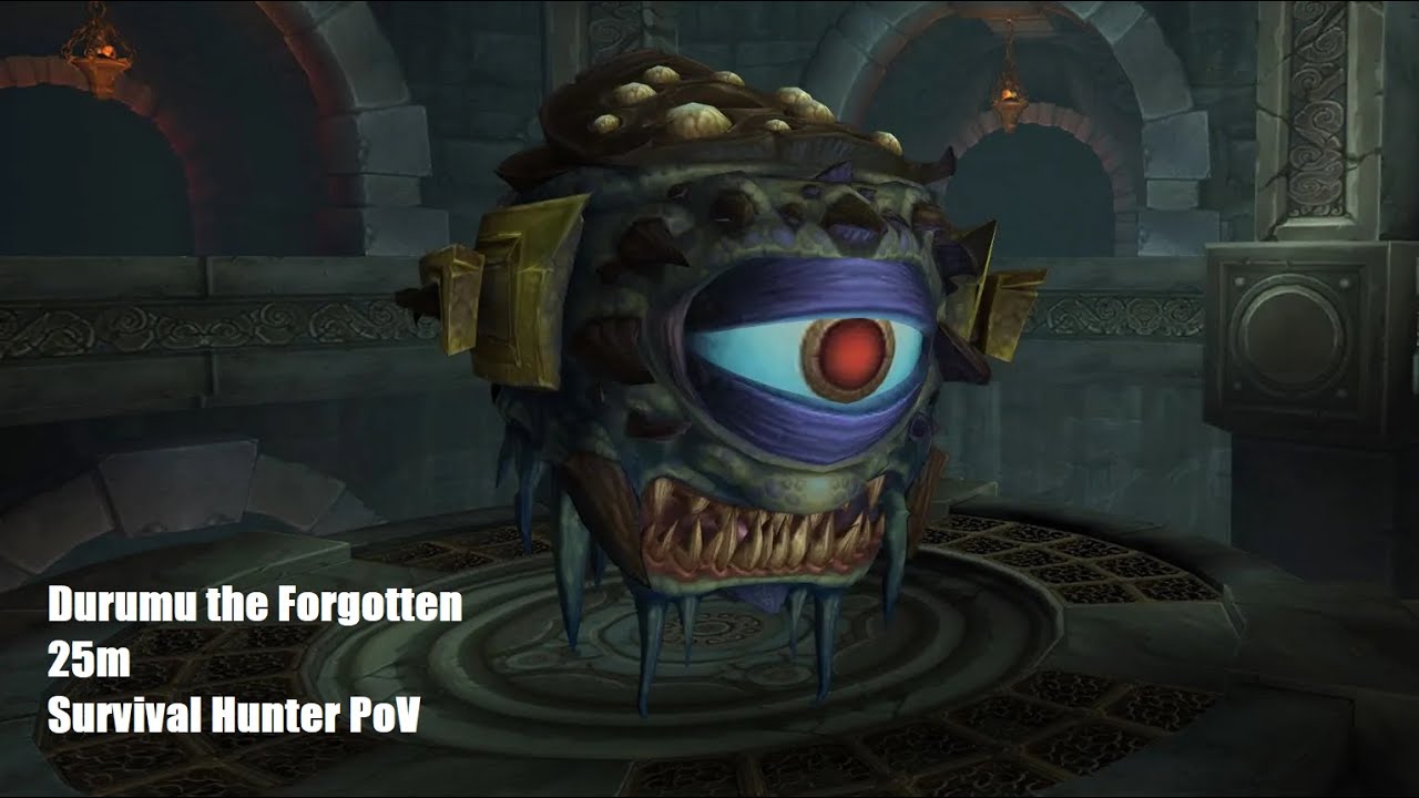 Durumu the Forgotten Heroic 25m | Throne of Thunder | Survival Hunter PoV | Mist of Pandaria Classic