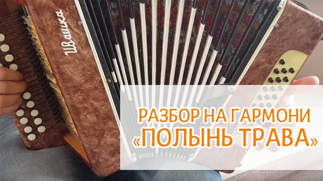 Разбор песни на гармони 
