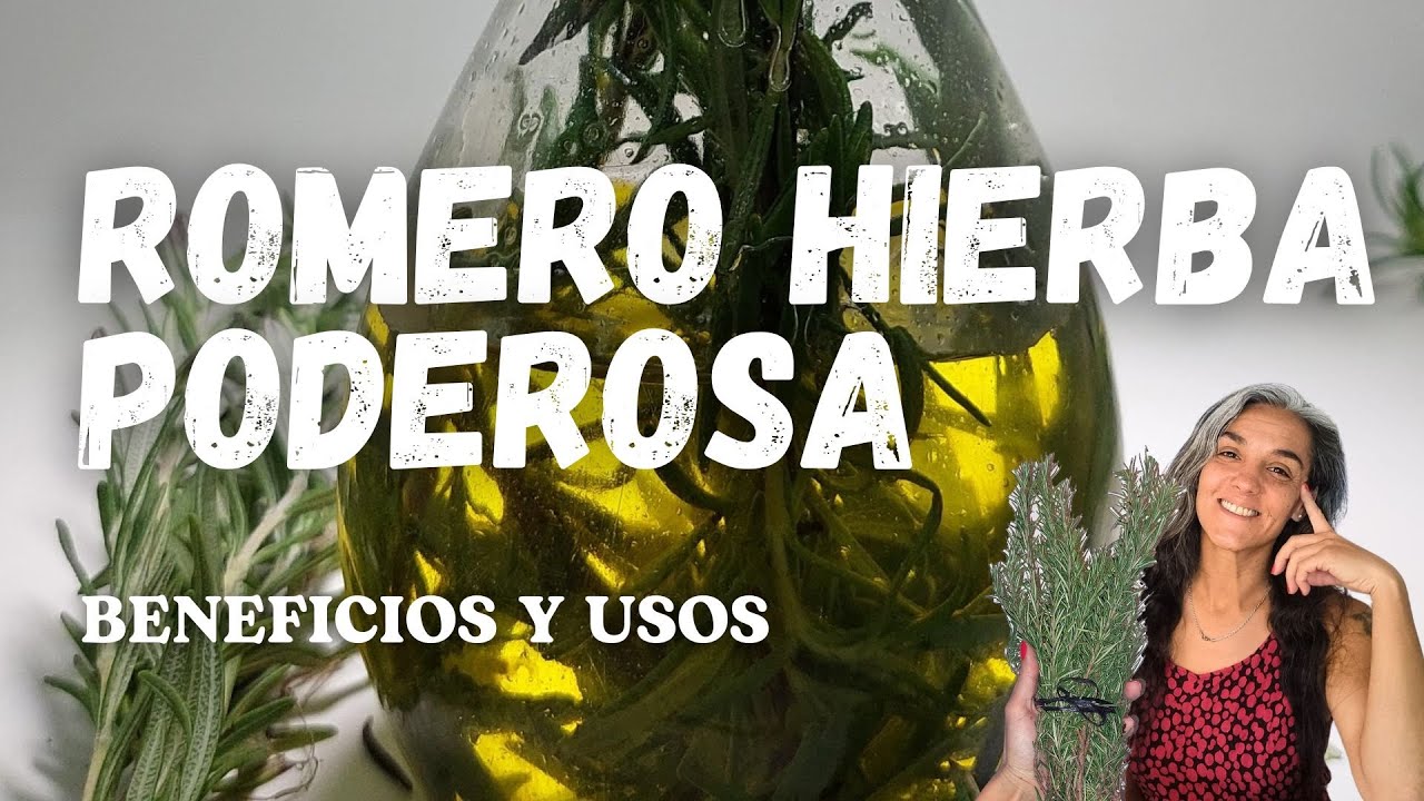 El poderoso romero. Hierba solar .