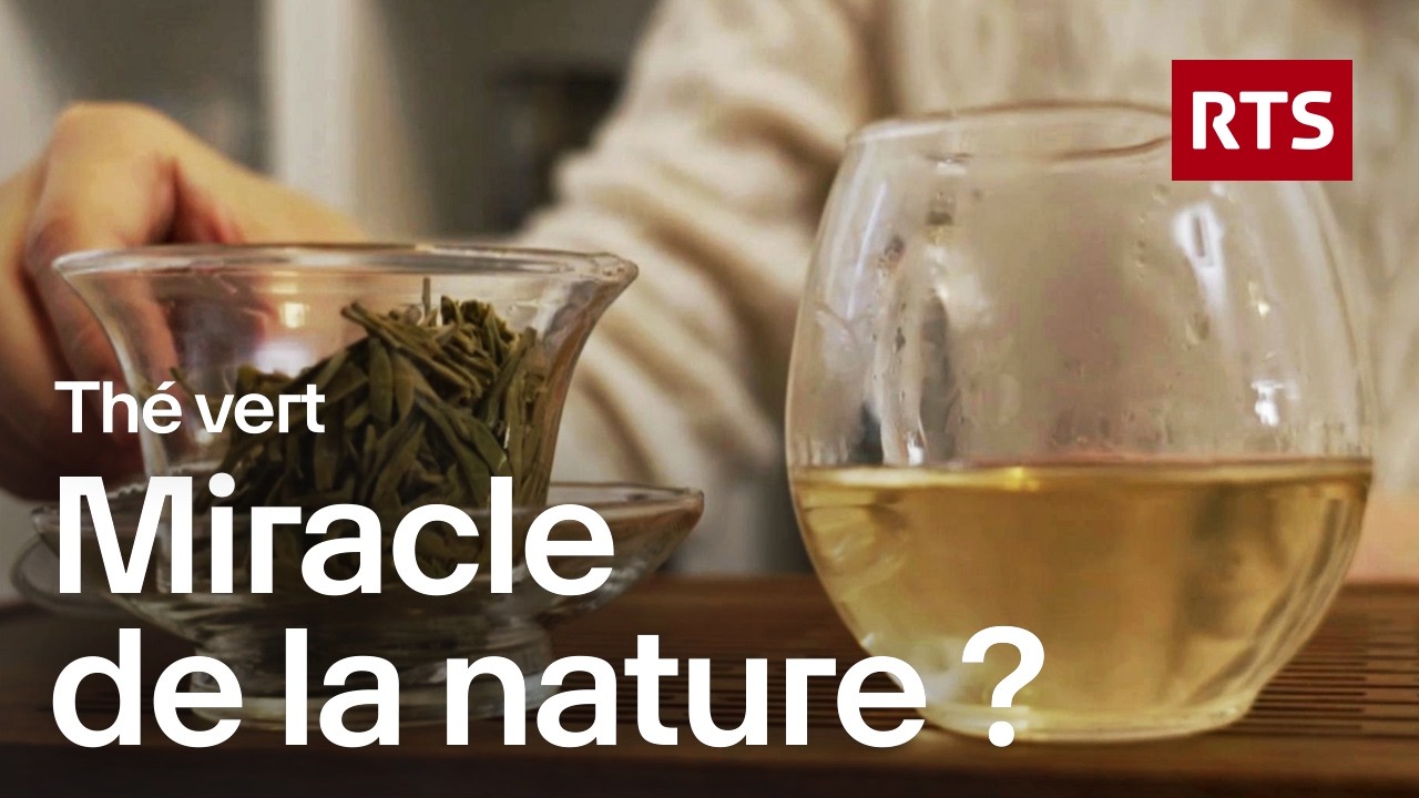 Thé vert : miracle ou marketing ? | RTS