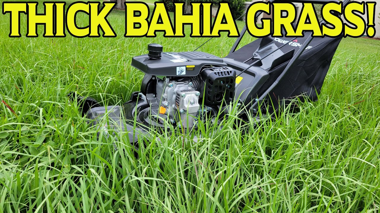PowerSmart 209cc 21 inch mower review DB8621PH