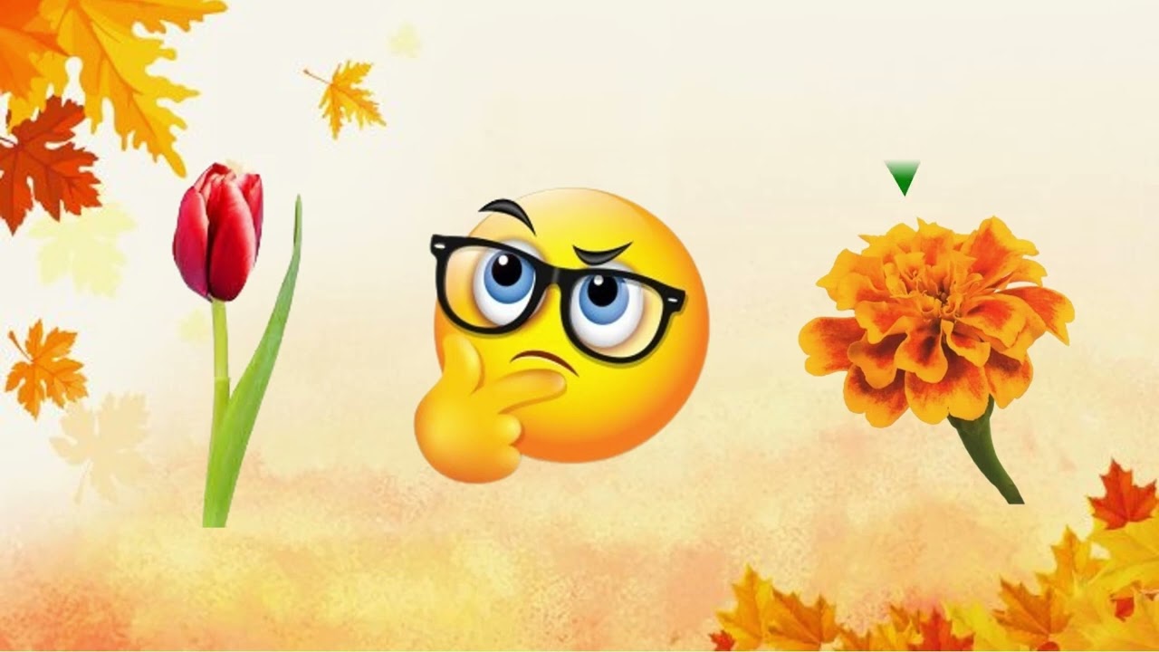 Розвиток мови «Квіти радість нам несуть»