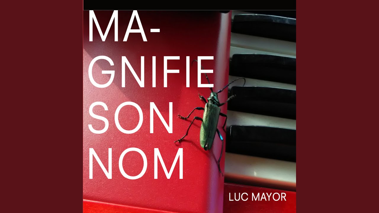 Tel que je suis