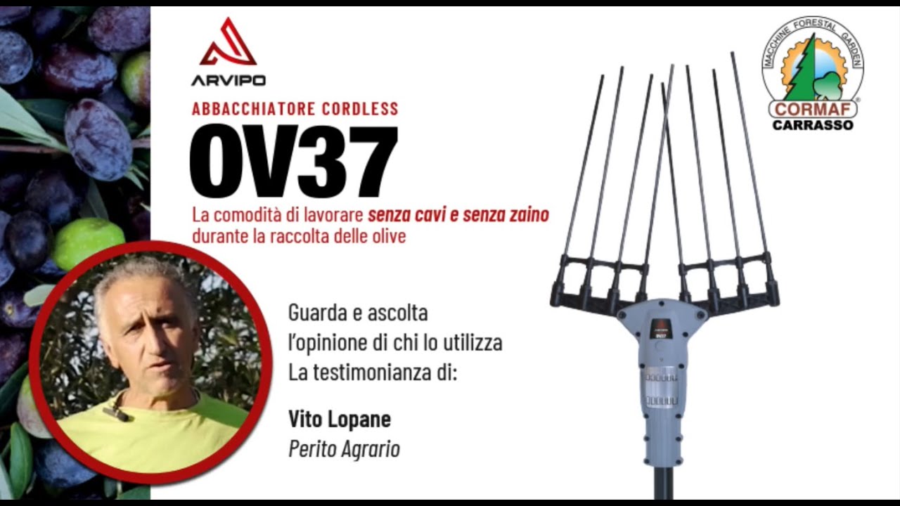 Arvipo OV37: la testimonianza di Vito. Raccolta olive 2023 con abbacchiatore a batteria senza cavi