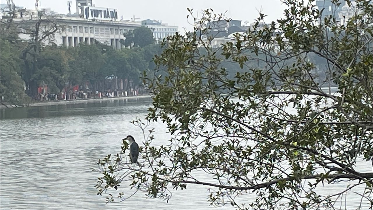 Đi chơi tết bính ngọ ở Hà nội| 2026 Tet holiday in Hanoi #hanoi #vietnamtravel #tet 