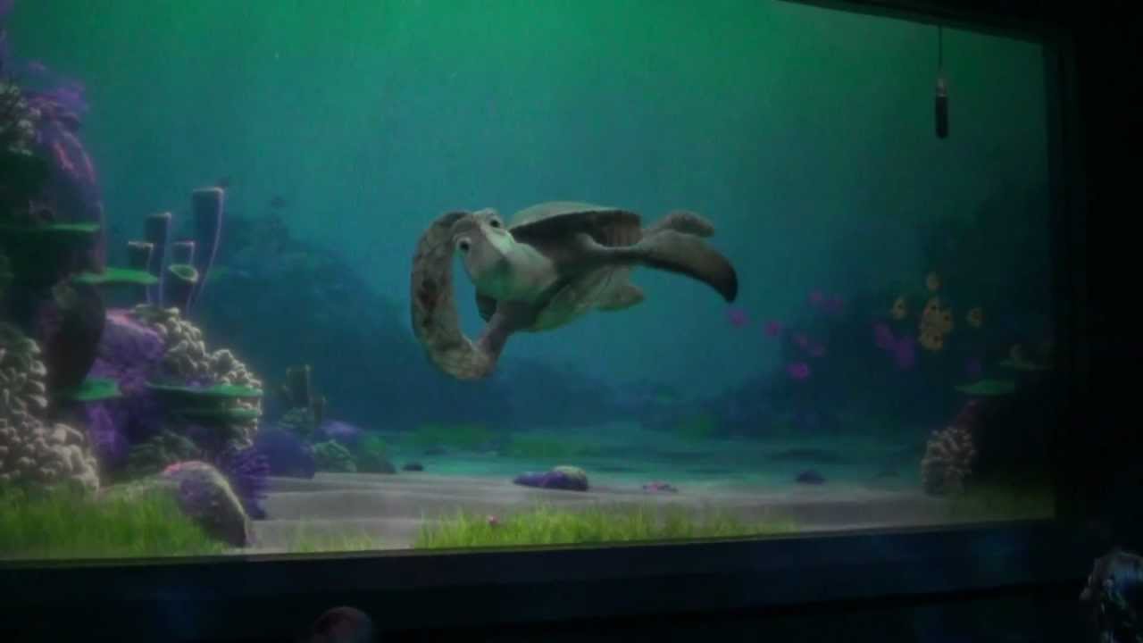 Disney World Epcot Turtle Talk With Crush Epcot 7-2012