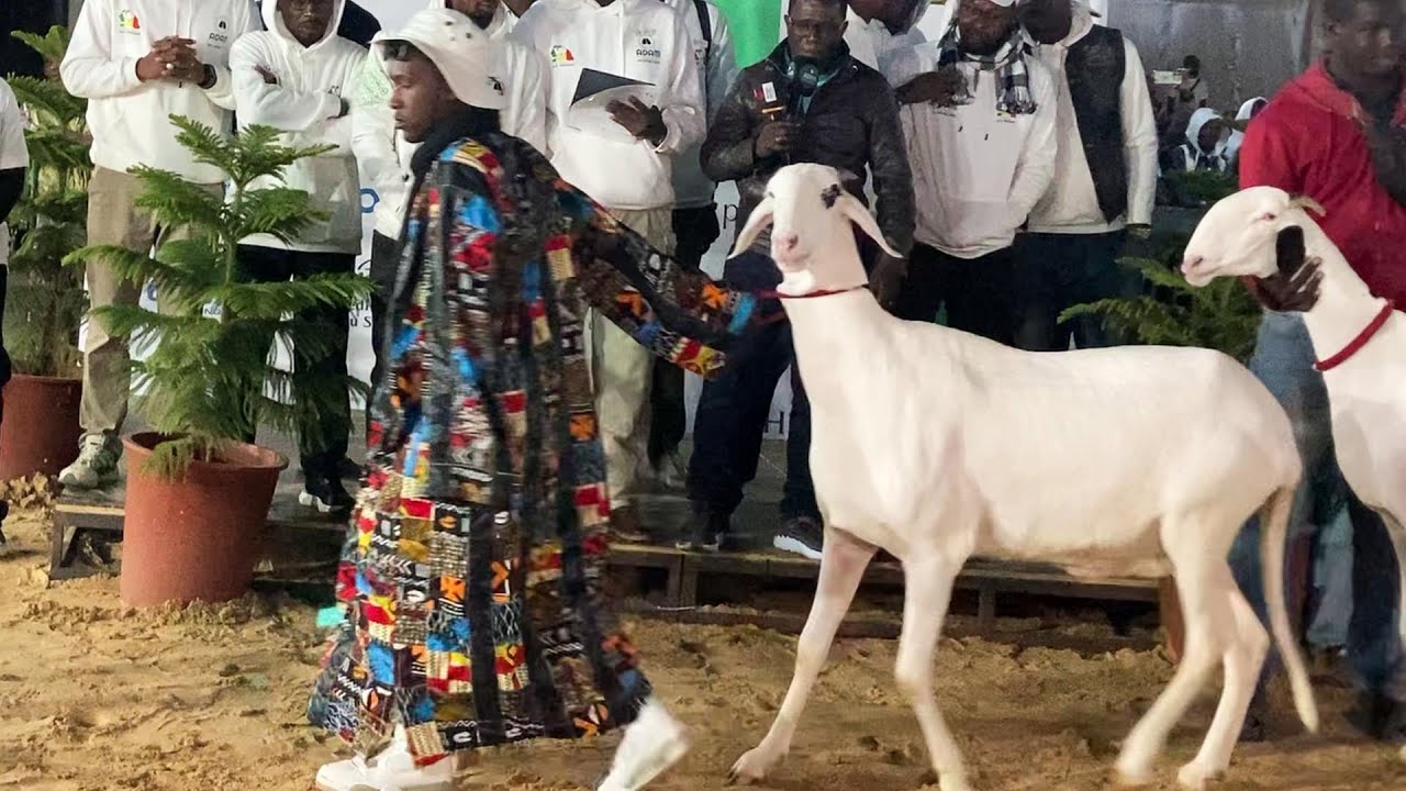 SOKHNA BALY DE LA BERG TOUBA KAWSARA CONFIRME ENCORE AU SALADAM