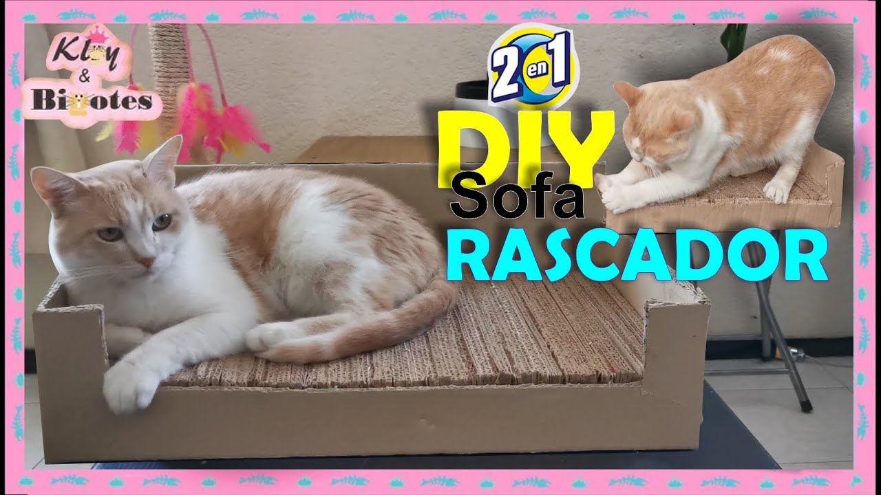 SOFÁ RASCADOR con CAJAs de CARTÓN 📦♻️ DIY 2en1
