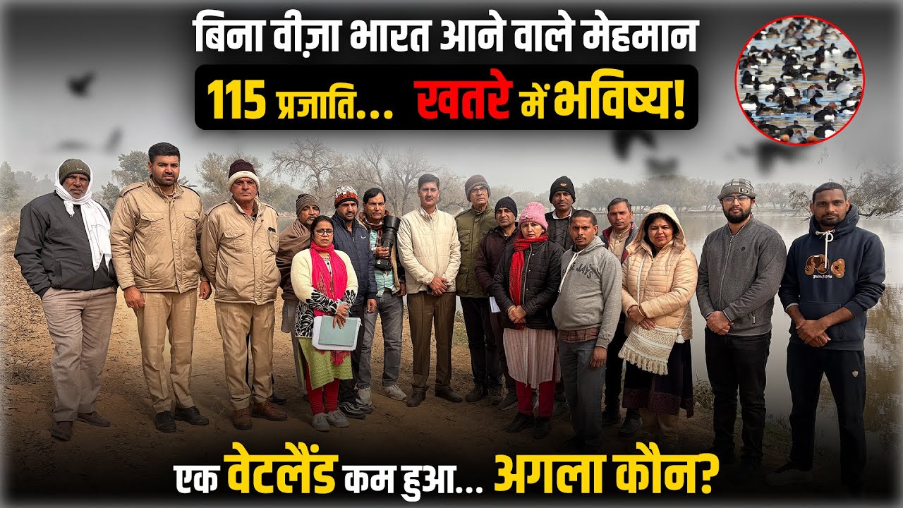 “बिना पासपोर्ट-वीज़ा भारत आए मेहमान, कालवन (हरियाणा) का वेटलैंड और प्रवासी पक्षियों की अद्भुत कहानी”