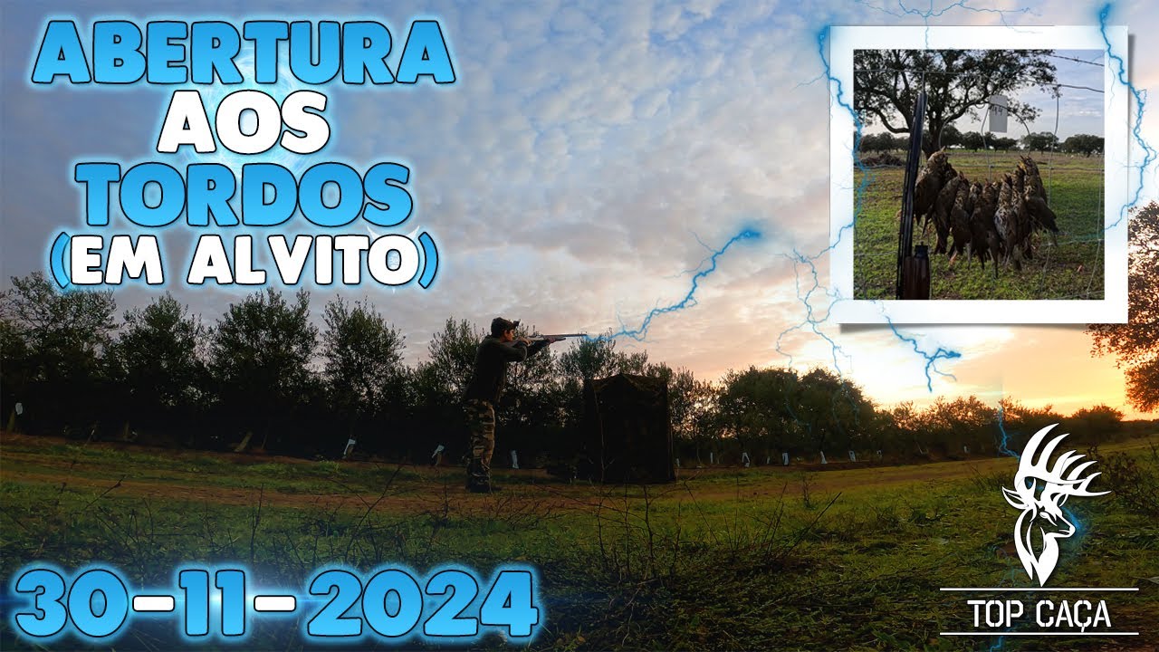 CAÇA AOS TORDOS 30 11 2024