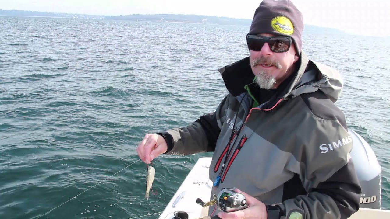 Mooching for Salmon in the Puget Sound | Spot Tail Guides