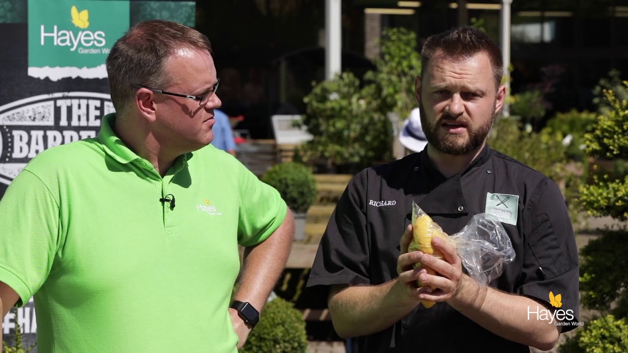 How To Cook Hasselback Potatoes On The Traeger Timberline 850