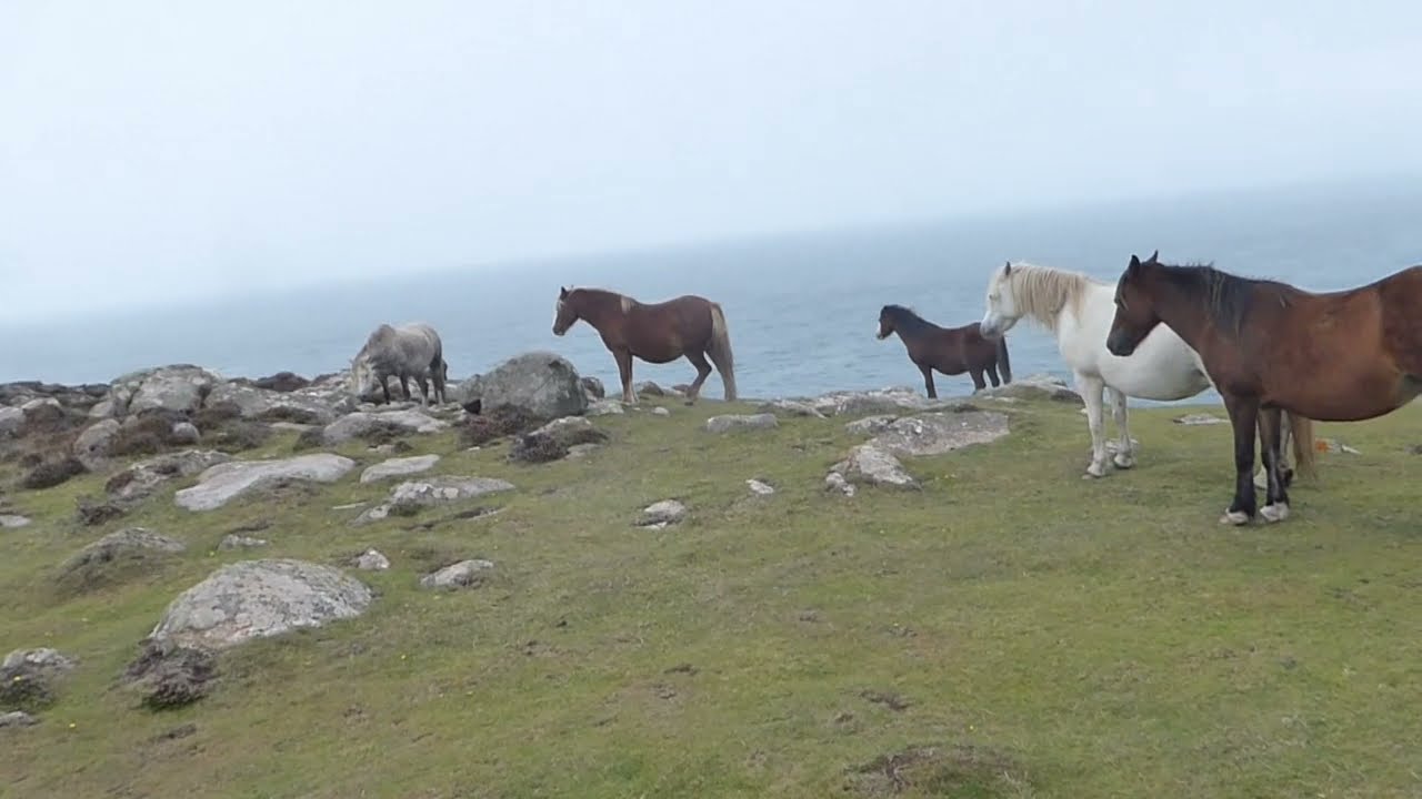 A walk on the Pembrokeshire Coast, Wales, visiting Carn Llidi, St David's Head and  Whitesands Bay.