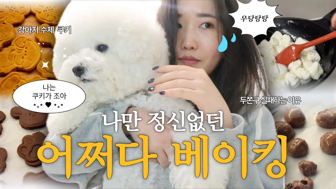Vlog 실패와 성공 사이의 하루, 두쫀쿠 실패하지 않는 방법, 강아지 수제 쿠키, 집순이 브이로그