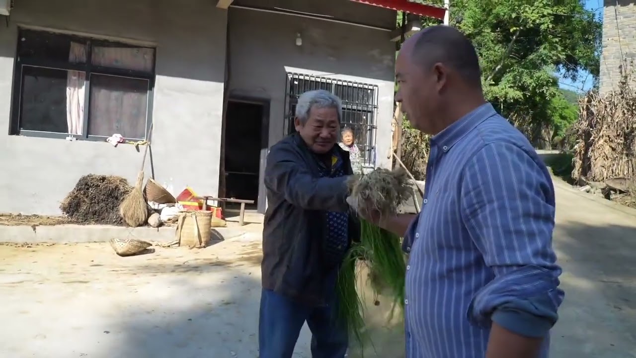 阿英去刘家寨扯菜种，意外收获野葱子，回家和鸡蛋炒，太香了 