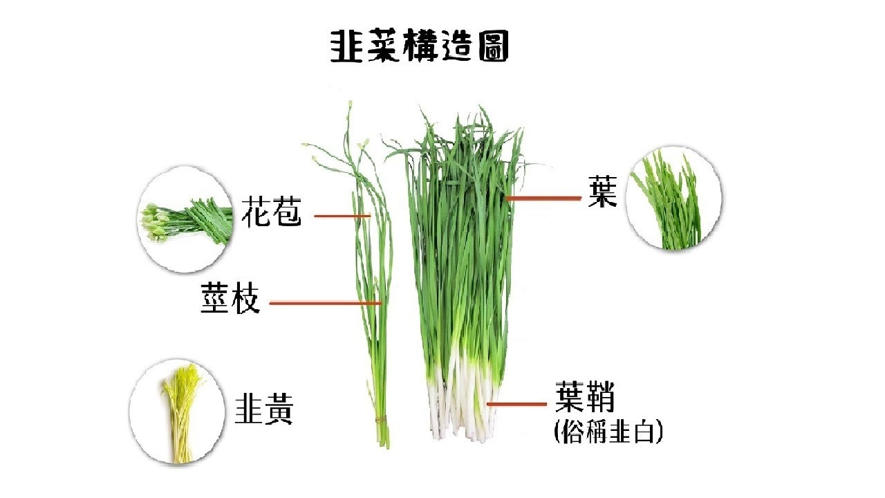 20251013 解大盤、台幣、部位處理分享、點序(有人敲碗)。