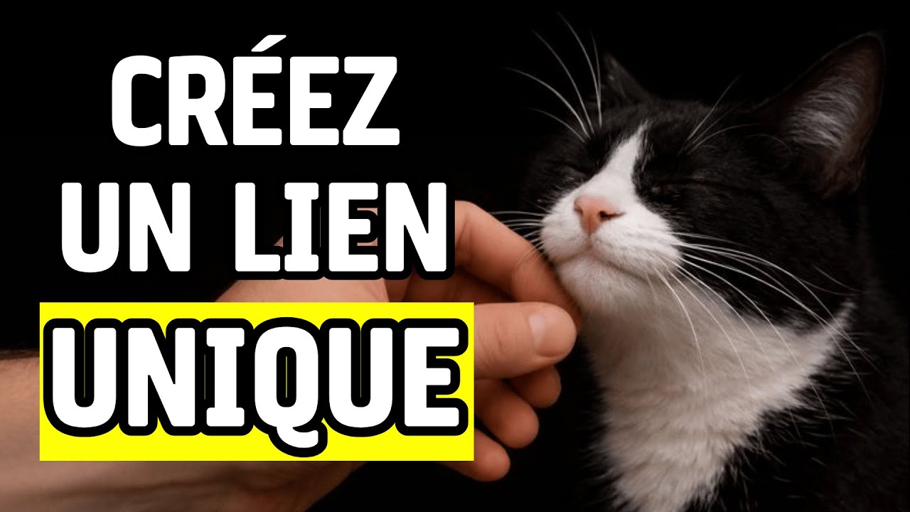 14 techniques secr&egrave;tes pour cr&eacute;er un lien unique avec votre chat.
