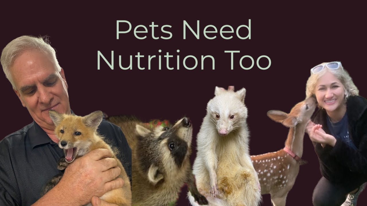 Health for the Whole Family | Pet/Wildlife Care