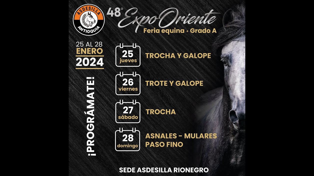 ENTRENAMIENTOS PREVIOS A LA FERIA EQUINA GRADO 