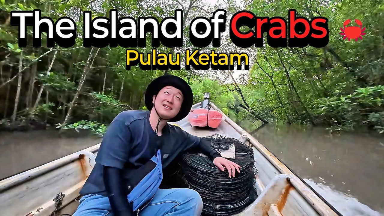 Давайте поймаем живых грязевых крабов и превратим их в чили-крабов! 🦀🔥 | Пулау Кетам